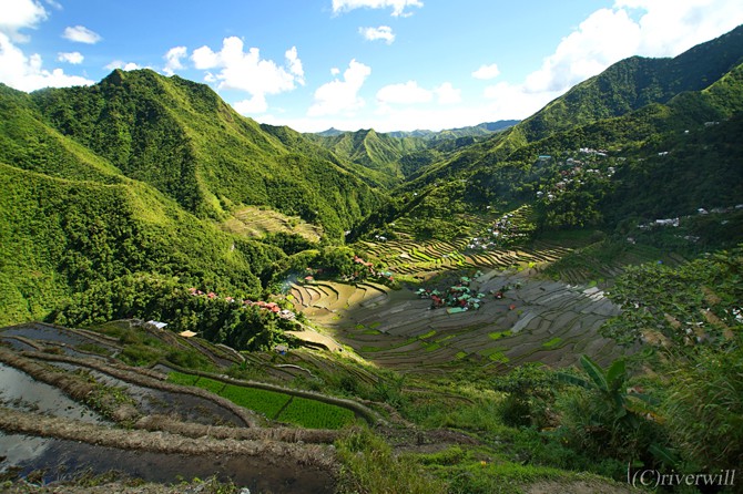 フィリピン バナウェ コルディリエーラの棚田群 Philippines Banaue Cordilleras Rice Terraces