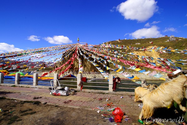 中国 東チベット 亜青寺 China Eastern Tibet Yaqing temple