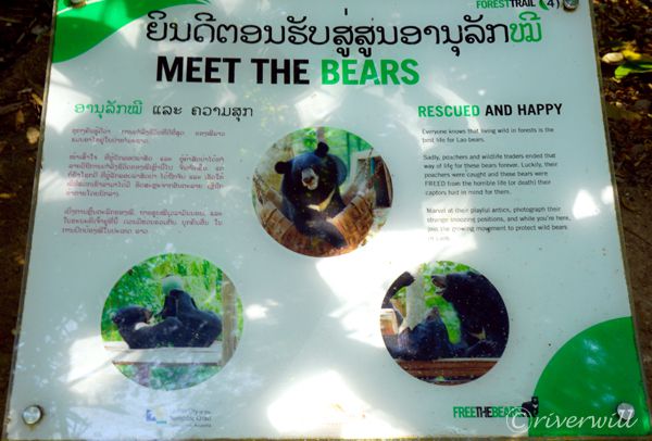 ラオス ルアンパバーン 熊保護センター Laos Kuang Si waterfall Bear Shelter