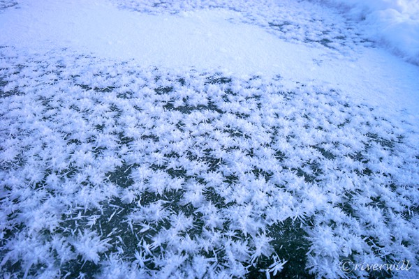 【LINEトラベルjp】冬限定！奇跡の花フロストフラワーを見に北海道阿寒湖へ