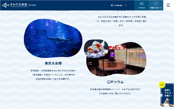 4位 東京スカイツリー すみだ水族館 Sumida Aquarium in Tokyo Skytree