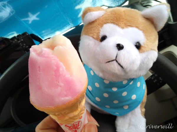 秋田　ババヘラアイス Babahera ice cream in Akita pref, Japan