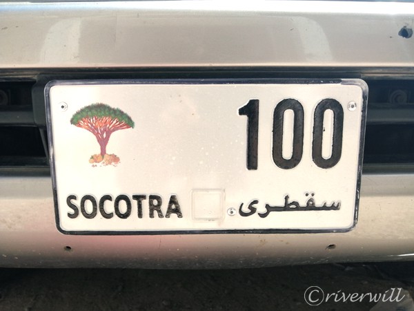 龍血樹のナンバープレート, ソコトラ島 Car registration number with Dragon Blood Tree, Socotra island , Yemen