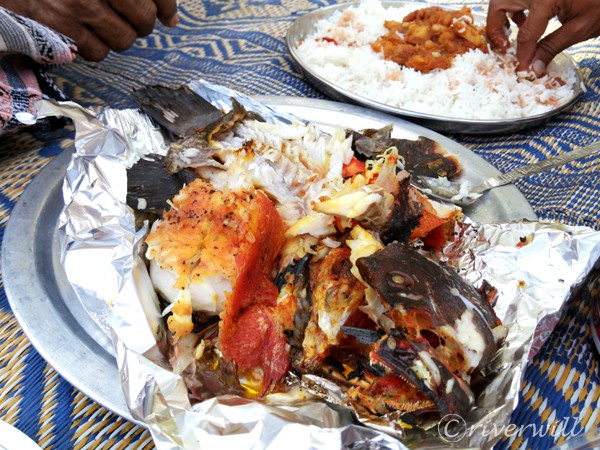 ご飯と魚料理, ソコトラ島 Rice and Grilled Fishes, Socotra island , Yemen